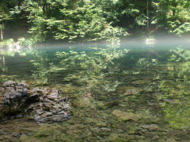 Kaynak ormanın içinde dağ Nehri