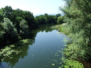Ova nehir akar yavaş yavaş göl