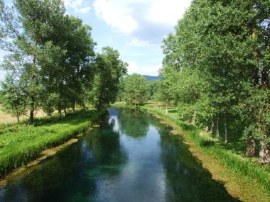 Ağaçların arasından saf ova nehir akar