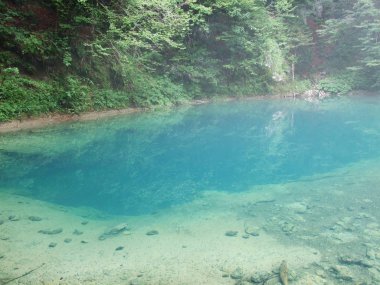 Kaynak ormanın içinde dağ Nehri