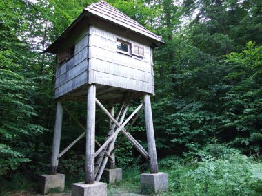 Vahşi orman hayvanları için yüksek ahşap Gözlemevi