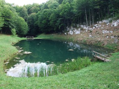 Schmit'ın Gölü veya yeşil göl kenarında Ogulin