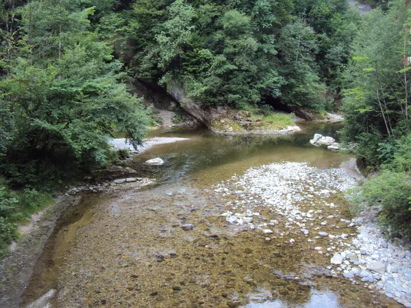 森の中にスムーズに純粋な山の川の流れ — ストック写真