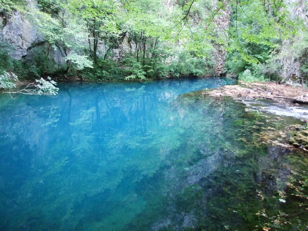 Source Rivière Montagne Dans Forêt — Photo