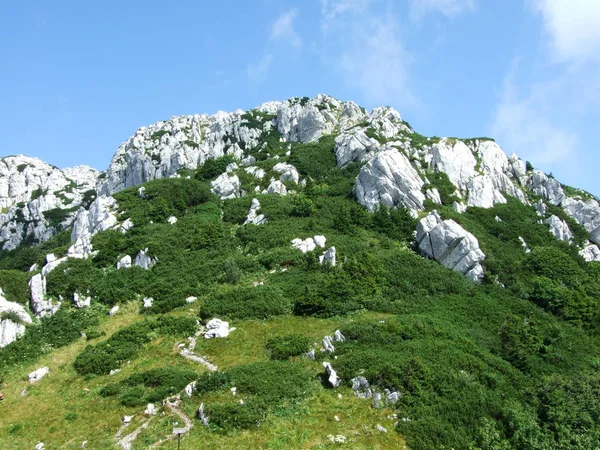 Panorama Aus Dem Nationalpark Risnjak Der Republik Kroatien — Stockfoto