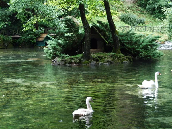 Park Und Quelle Des Bosna Sarajevo — Stockfoto