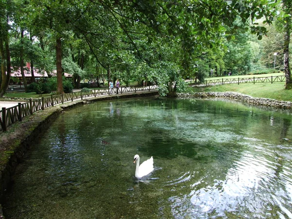 公園とサラエボ ミリャツカ川の源 — ストック写真