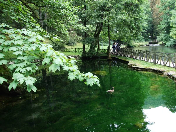 Parque Fuente Del Río Bosna Sarajevo — Foto de Stock