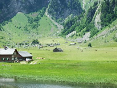 İsviçre alp dağ köyü
