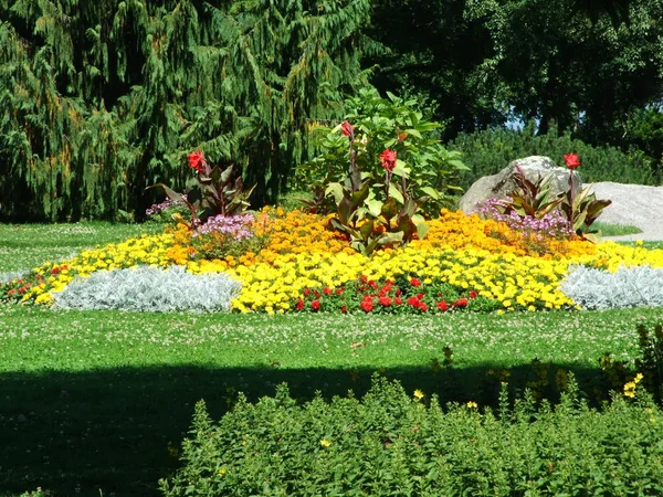 Romanshorn City Park — Stok fotoğraf