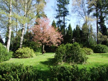 Bahar ve St. Gallen doğada uyanışı