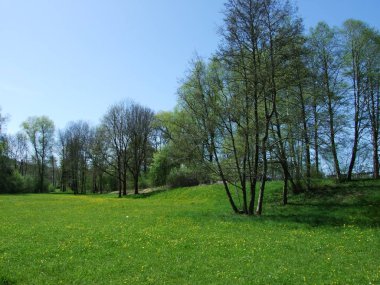 Bahar ve St. Gallen doğada uyanışı