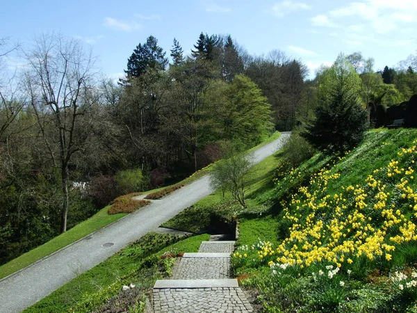 Arrival Spring Awakening Nature Gallen — Stock Photo, Image
