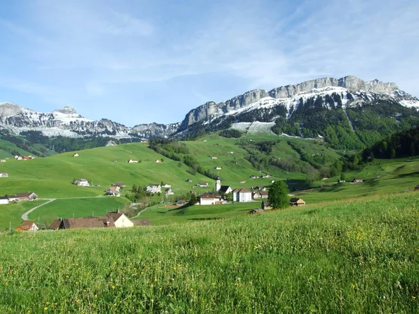 村およびスイス人カントン チューリッヒの牧草地のアルプスのパノラマ — ストック写真