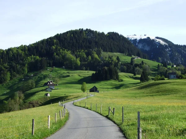 Typical Swiss Alpine Road through ecological pasture for cattle