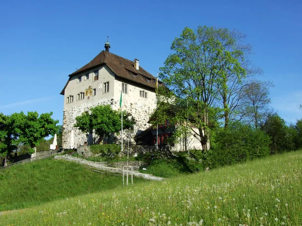 Altes Schloss Gossau Kanton Gallen Schweiz — Stockfoto