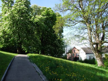 Herisau (Canton Appenzell Ausserrhoden, İsviçre kestane ile Park)