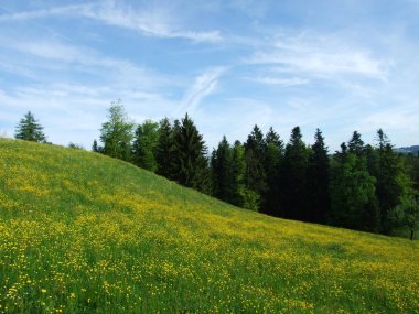 Mera ve tepelerinde Herisau (Canton Appenzell Ausserrhoden, İsviçre)
