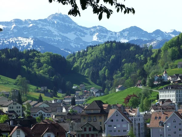 Typická Krajina Herisau Kanton Appenzell Ausserrhoden Švýcarsko — Stock fotografie