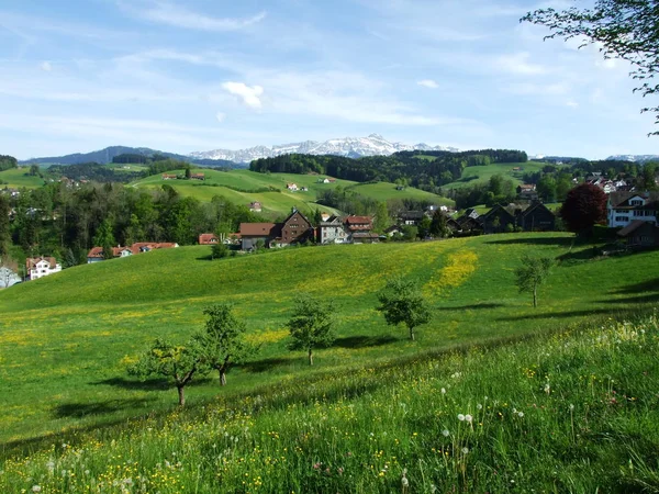 Weilanden Heuvels Van Herisau Kanton Appenzell Ausserrhoden Switzerland — Stockfoto