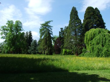 Park ve Botanik Bahçesi Seeburgpark Kreuzlingen - Thurgau Canton, İsviçre