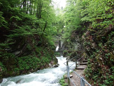Per River Canyon Unterwasser - St. Gallen, İsviçre