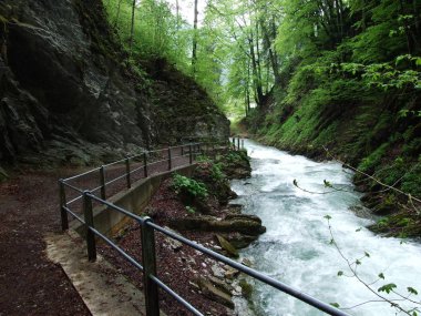 Per River Canyon Unterwasser - St. Gallen, İsviçre