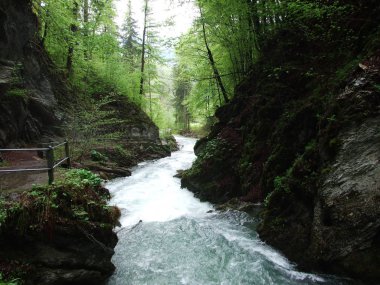 Per River Canyon Unterwasser - St. Gallen, İsviçre