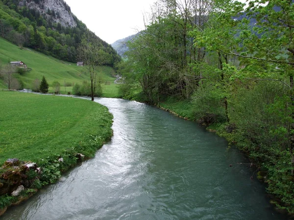 Unterwasser ザンクト ガレンのカントン スイス連邦共和国の木川 — ストック写真