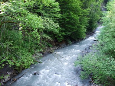 Seez nehir Weisstannental Vadisi - St. Gallen, İsviçre