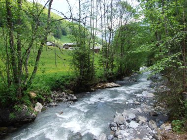 Seez nehir Weisstannental Vadisi - St. Gallen, İsviçre