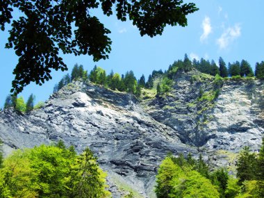 Dağlar ve kayalar vadinin Weisstannenthal - Canton St. Gallen, İsviçre