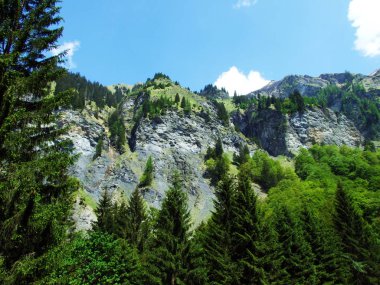 Dağlar ve kayalar vadinin Weisstannenthal - Canton St. Gallen, İsviçre