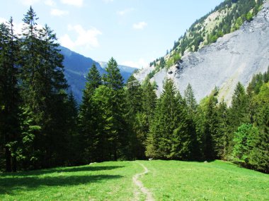 Dağlar ve kayalar vadinin Weisstannenthal - Canton St. Gallen, İsviçre