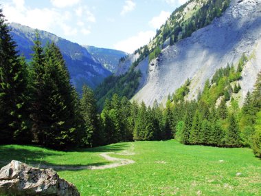 Dağlar ve kayalar vadinin Weisstannenthal - Canton St. Gallen, İsviçre