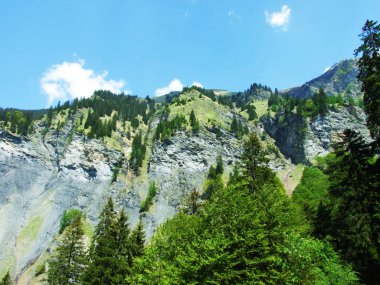 Dağlar ve kayalar vadinin Weisstannenthal - Canton St. Gallen, İsviçre