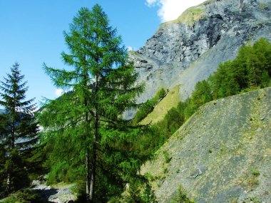 Dağlar ve kayalar vadinin Weisstannenthal - Canton St. Gallen, İsviçre