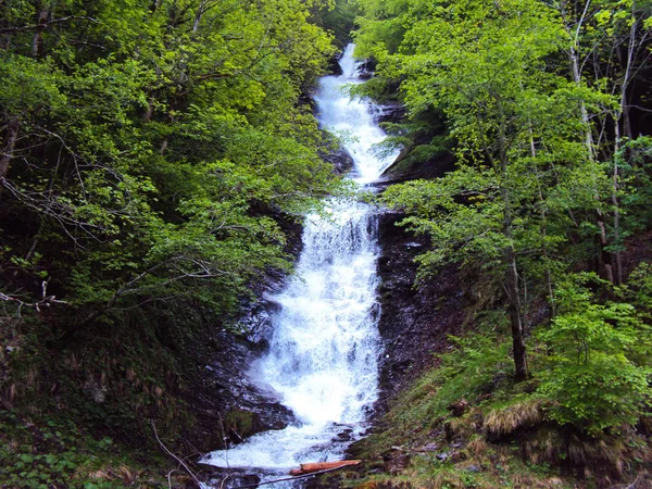 Cachoeira Prechtbachfall Weisstannen Cantão Gallen Suíça — Fotografia de Stock