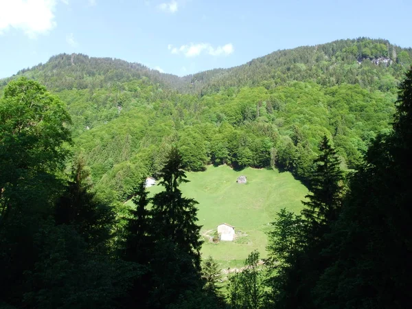 Teiche Und Hügel Tal Weissstannenthal Kanton Gallen Schweiz — Stockfoto