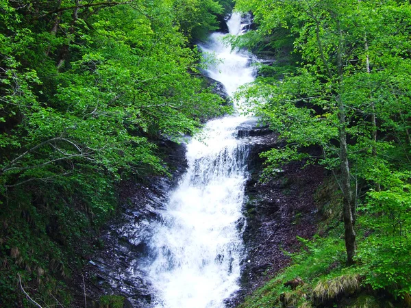 Prechtbachfall Водоспад Weisstannen Кантону Санкт Галлен Швейцарія — стокове фото