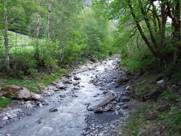 Rivière Seez Dans Vallée Weisstannental Canton Saint Gall Suisse — Photo