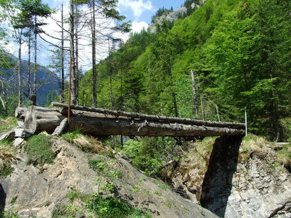 Импровизированный Деревянный Мост Долине Вайстанненталь Кантон Санкт Галлен Швейцария — стоковое фото