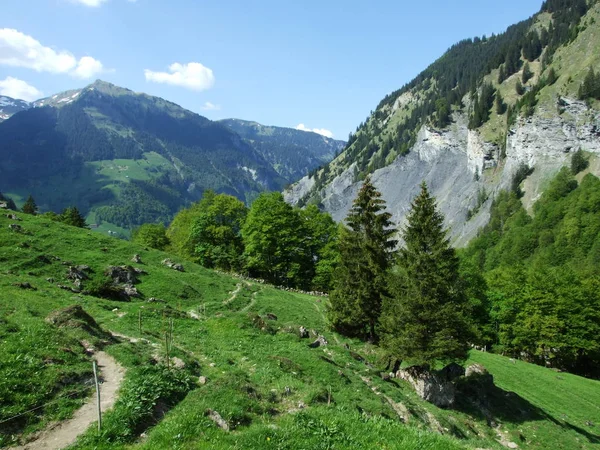 Góry Skały Dolinie Weisstannenthal Kantonu Gallen Szwajcaria — Zdjęcie stockowe