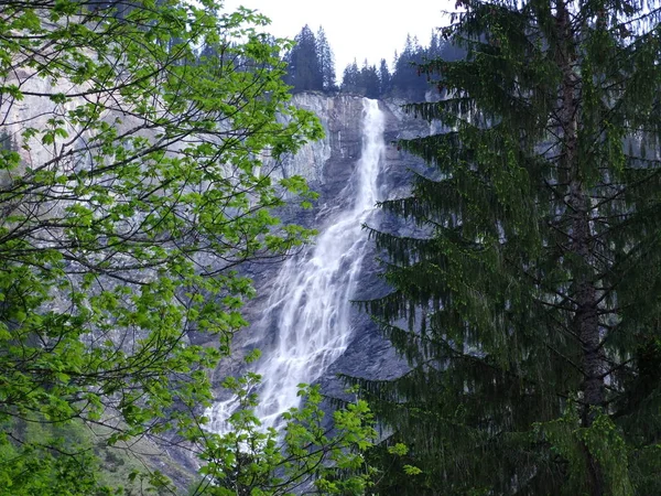 Cascada Unterer Hohbachfall Weisstannen Cantón Gallen Suiza —  Fotos de Stock