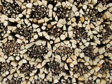 Alpleri'nde kış aylarında düzgün stoklanmayacaktır yakacak odun