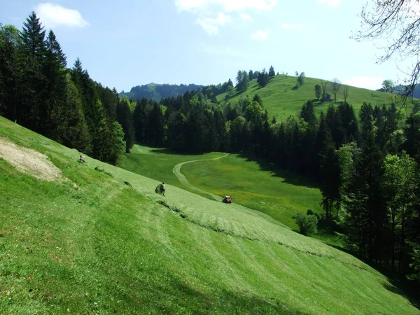목초지 Zrchersmhle Ausserrhoden 스위스의 — 스톡 사진