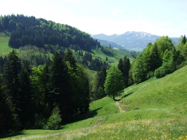 Λιβάδια Και Τους Λόφους Του Zrchersmhle Χωριό Καντονίου Του Appenzell — Φωτογραφία Αρχείου