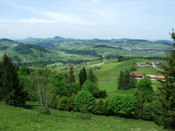 Almen Und Hügel Des Dorfes Zrchersmhle Kanton Appenzell Ausserrhoden Schweiz — Stockfoto