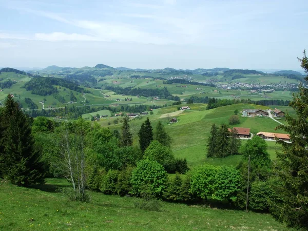 Pastviny Kopce Zrchersmhle Vesnice Kanton Appenzell Ausserrhoden Švýcarsko — Stock fotografie