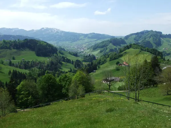 Pascoli Colline Del Villaggio Zrchersmhle Canton Appenzello Ausserrhoden Svizzera — Foto Stock